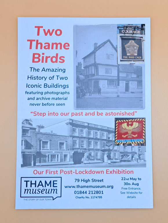 Postcard - Two Thame Birds